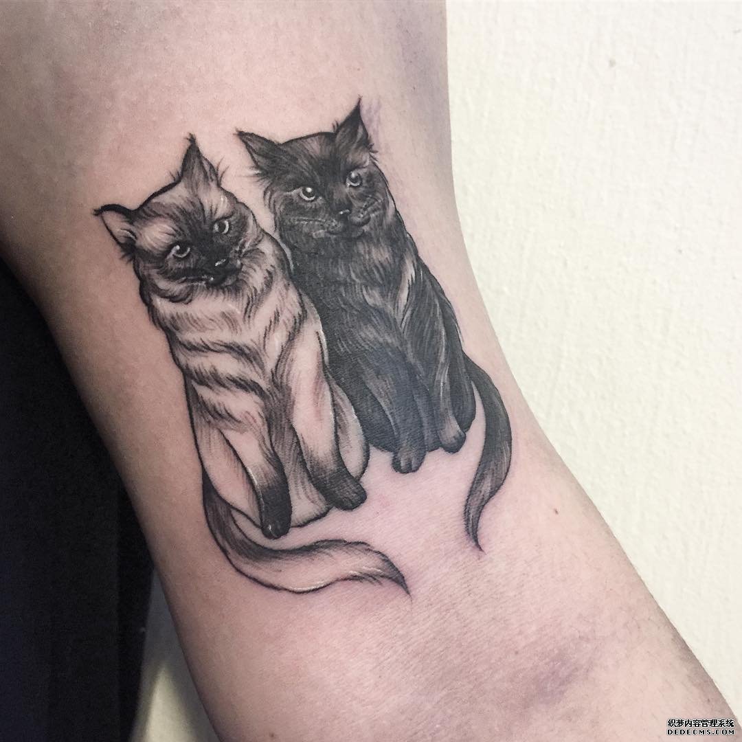 黑灰宠物猫咪文身图案