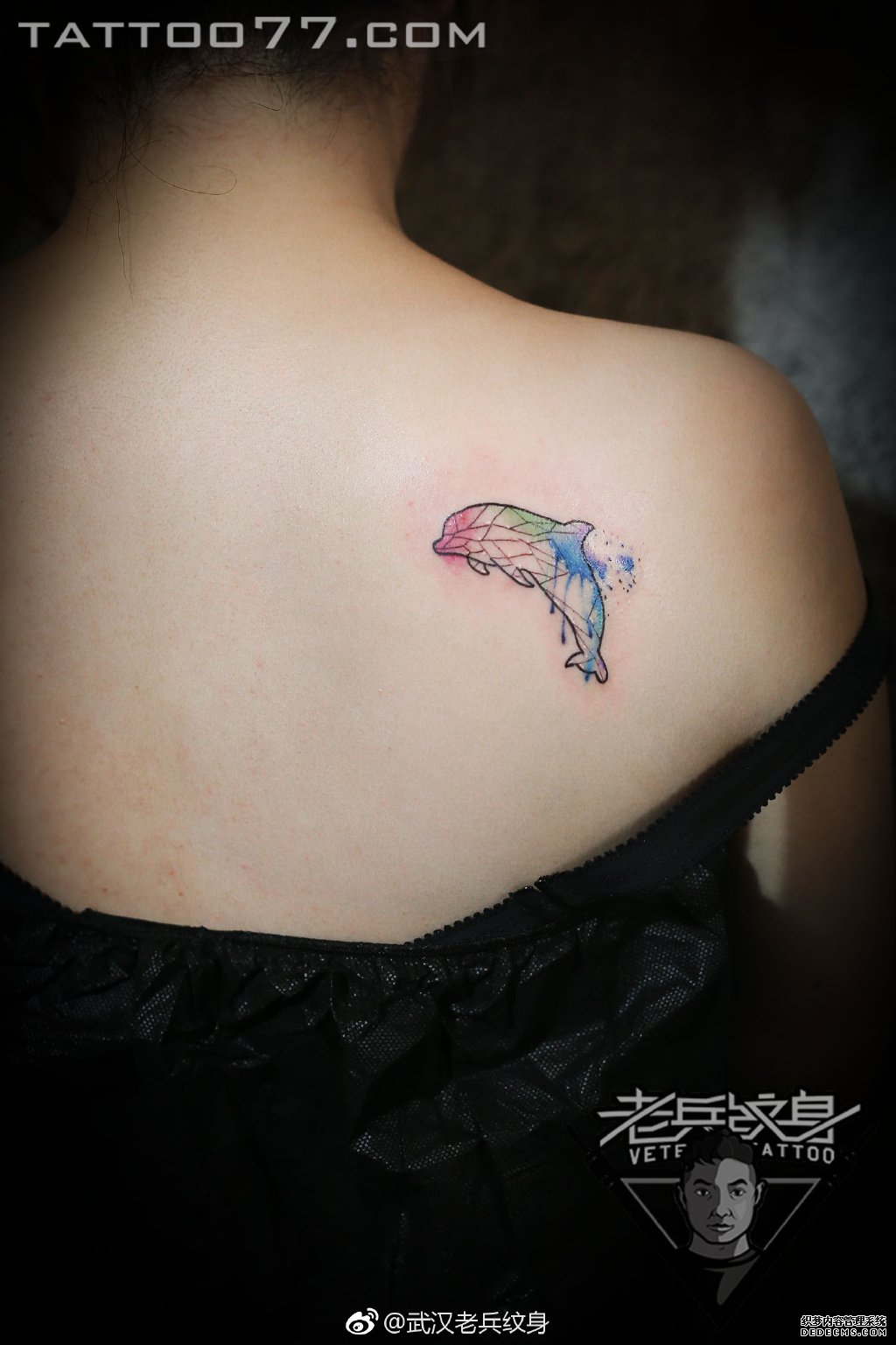 色彩泼墨几何海豚后背纹身图案