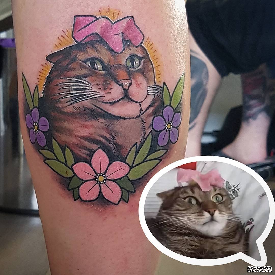 色彩猫咪花小腿纹身图案