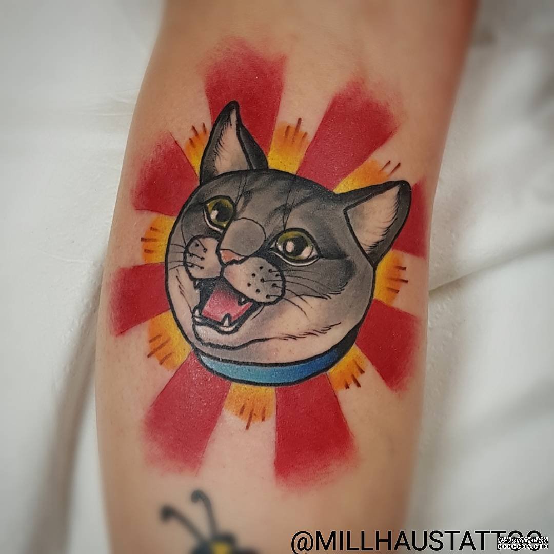 色彩猫咪太阳纹身图案