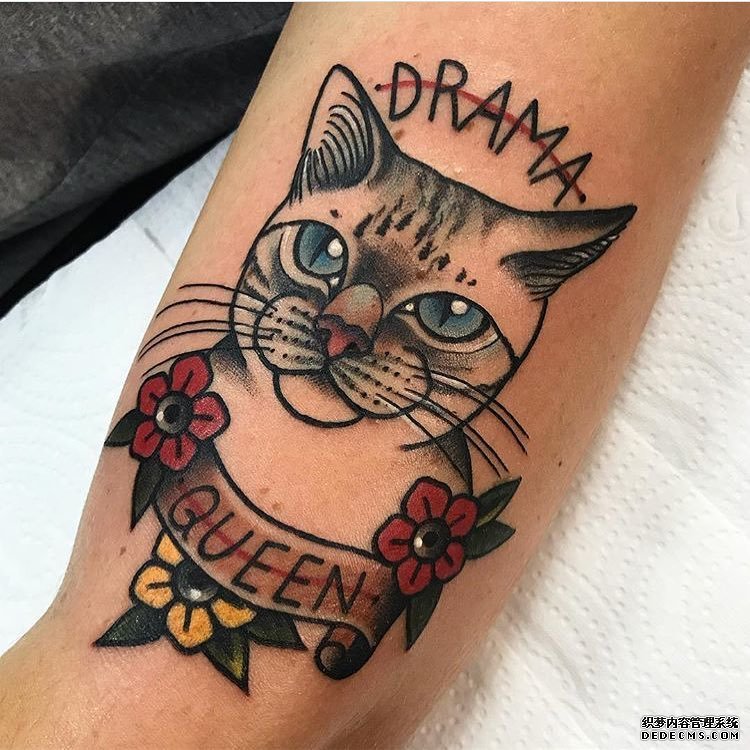 色彩猫咪花朵tattoo图案