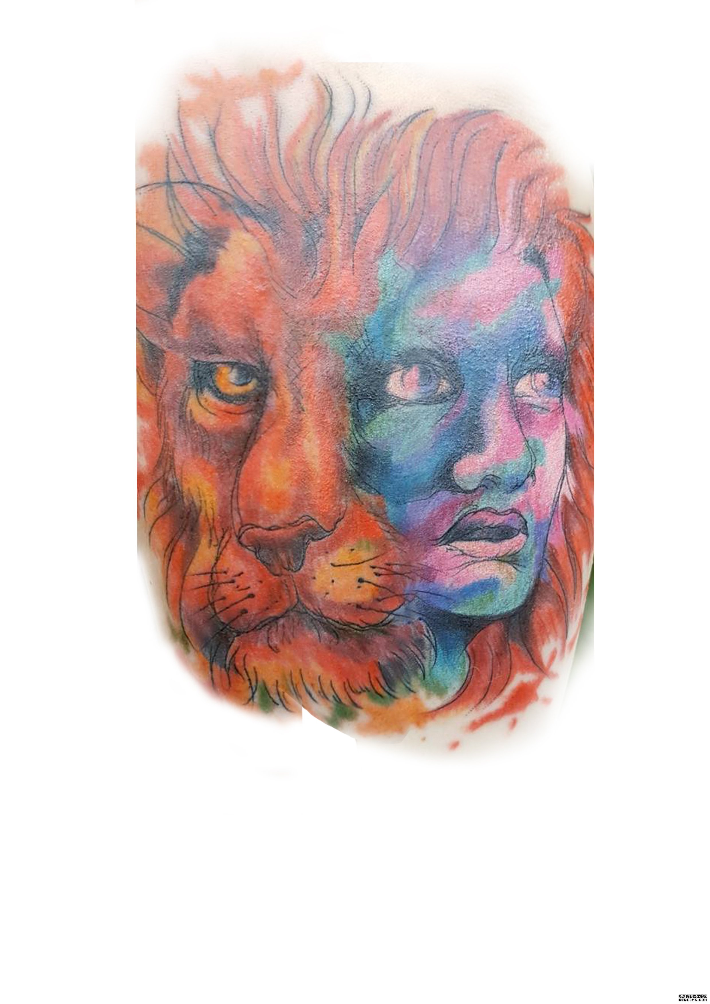 色彩狮子人面纹身图案