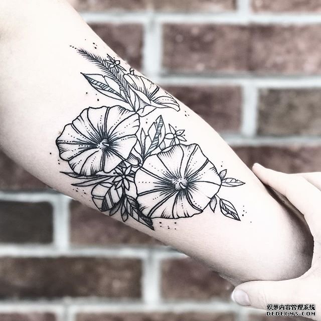 手臂线条牵牛花纹身图案