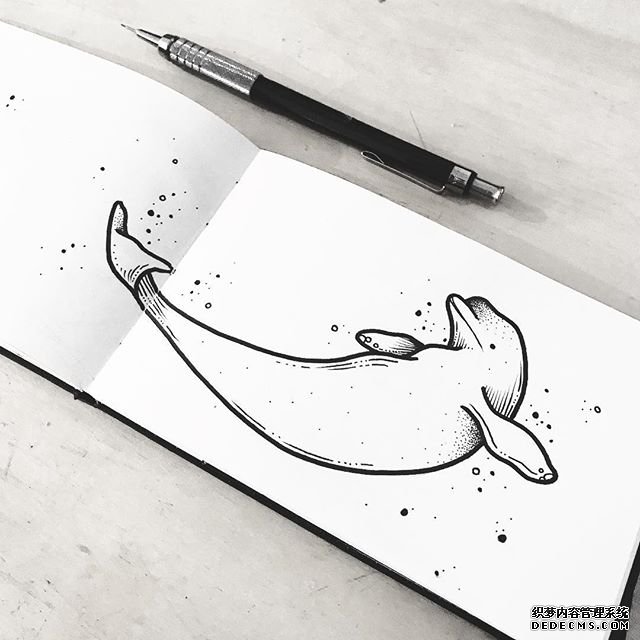线条简约海豚手稿