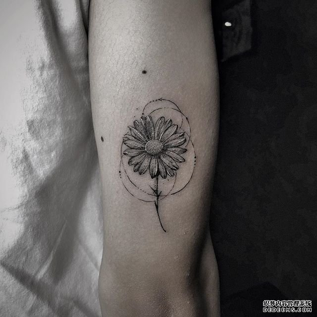 手臂菊花纹身图案