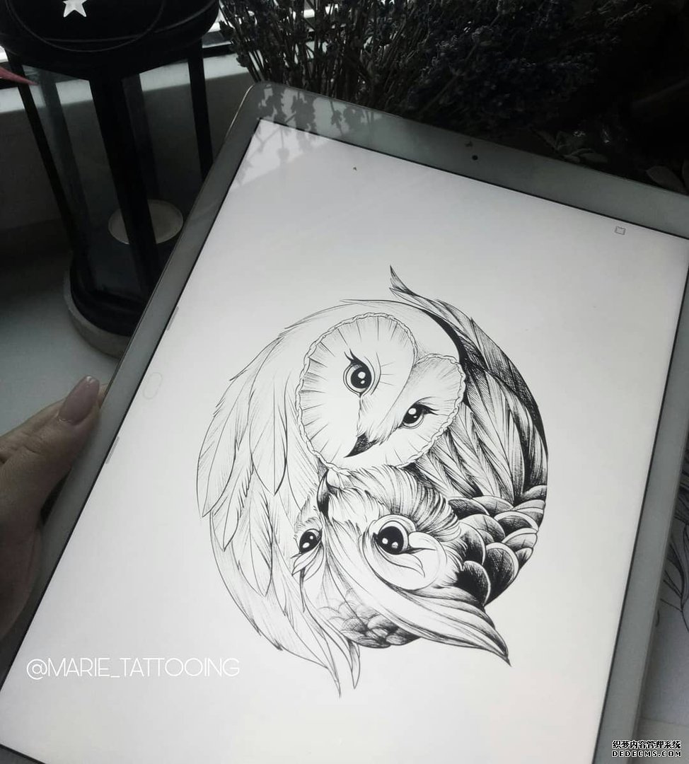 黑灰猫头鹰纹身手稿