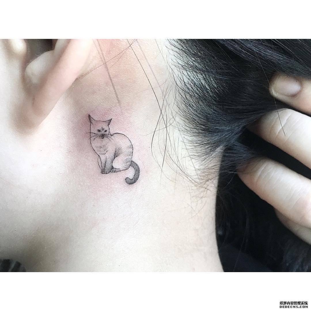 耳后简约小猫纹身图案