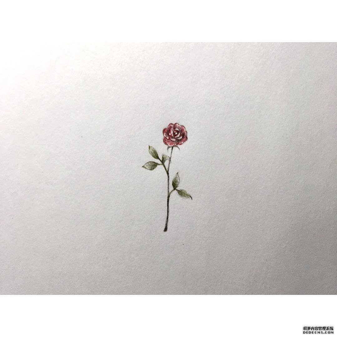 简约玫瑰手稿纹身图案