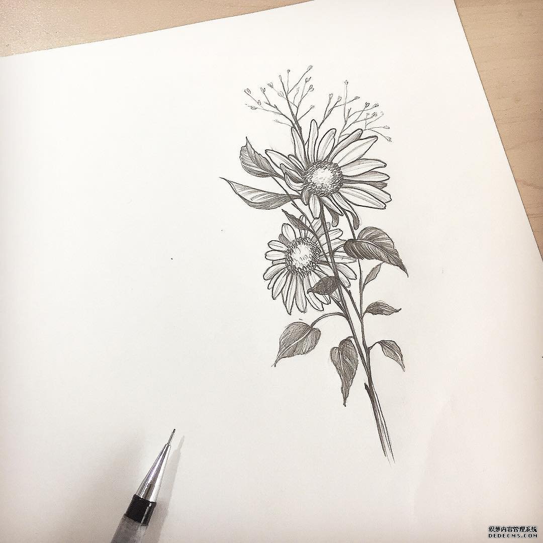 黑灰花纹身手稿