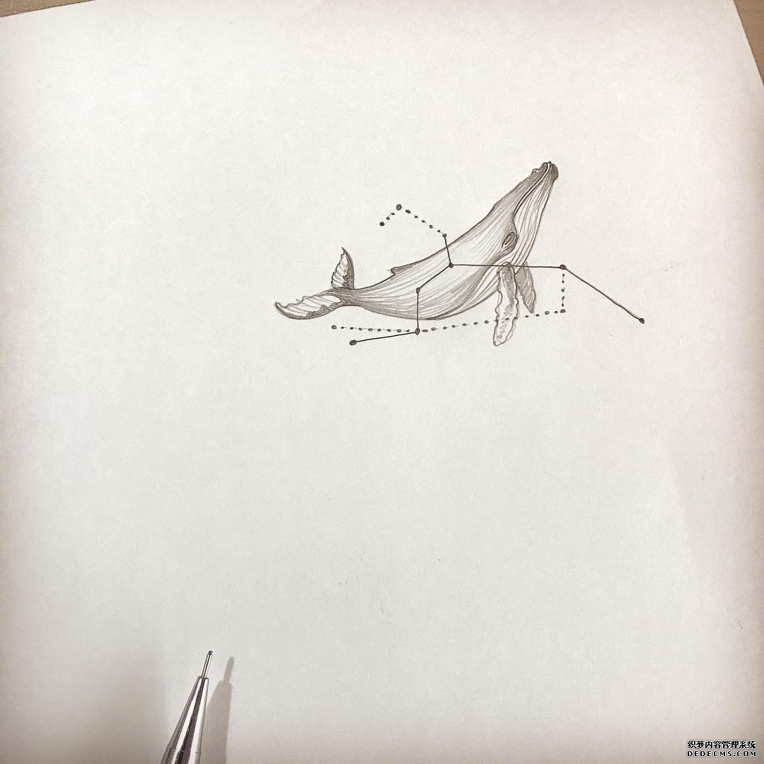 黑灰鲸鱼纹身手稿