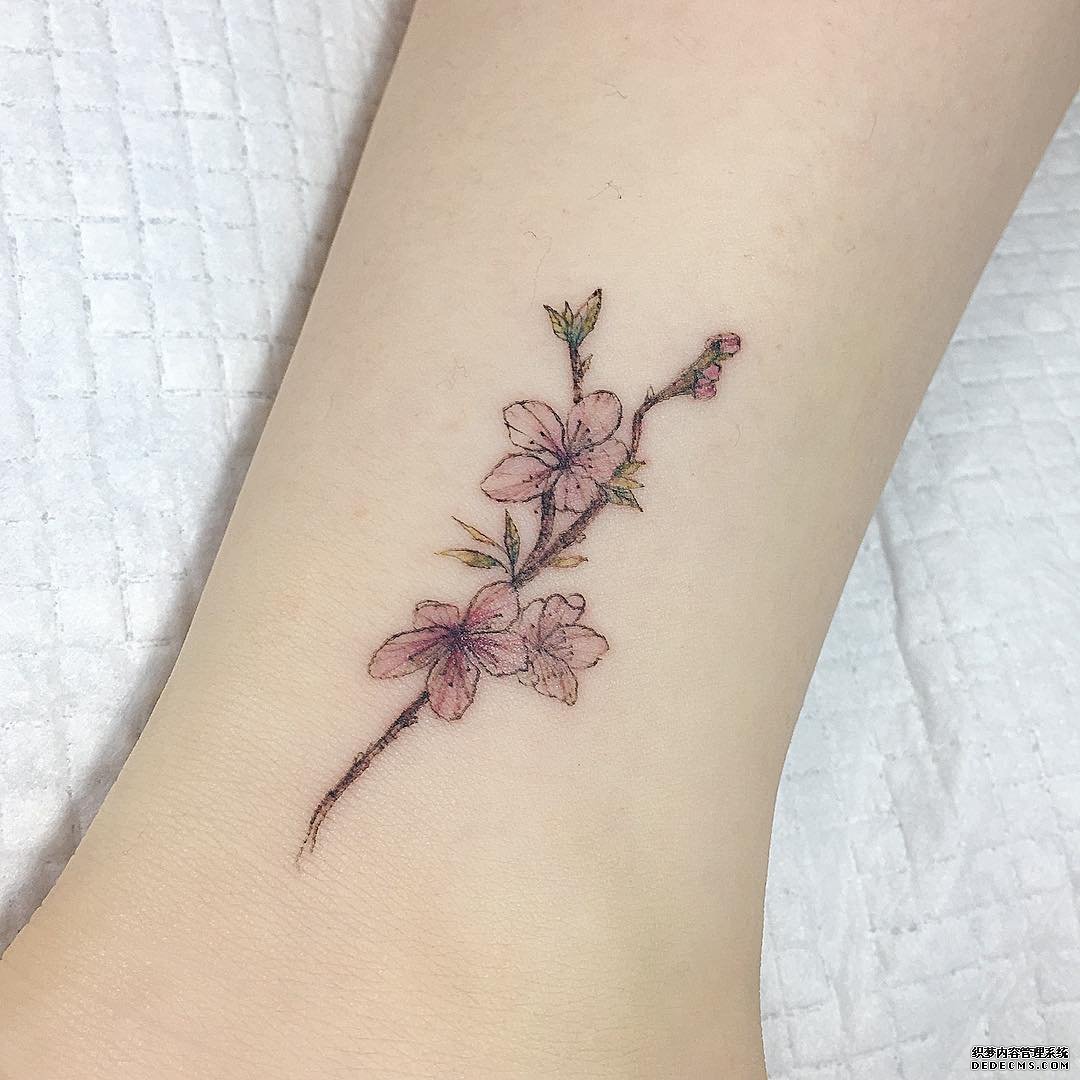 色彩花脚腕纹身图案