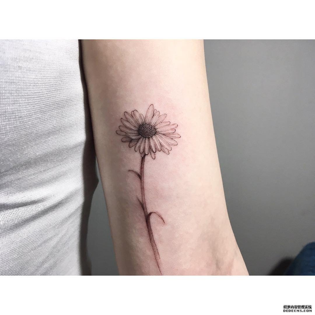 手臂简约小雏菊纹身