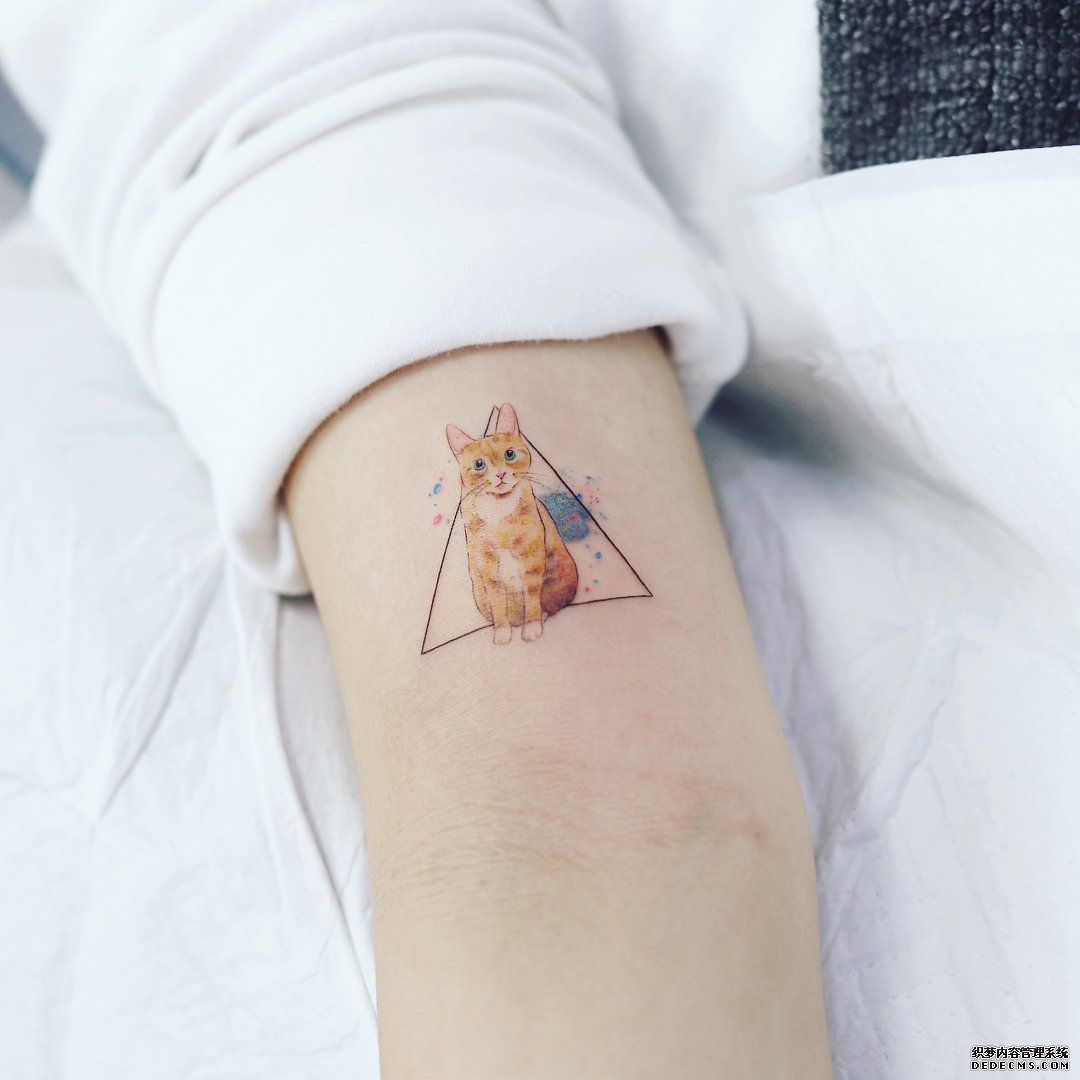 手臂简约小猫几何线条纹身