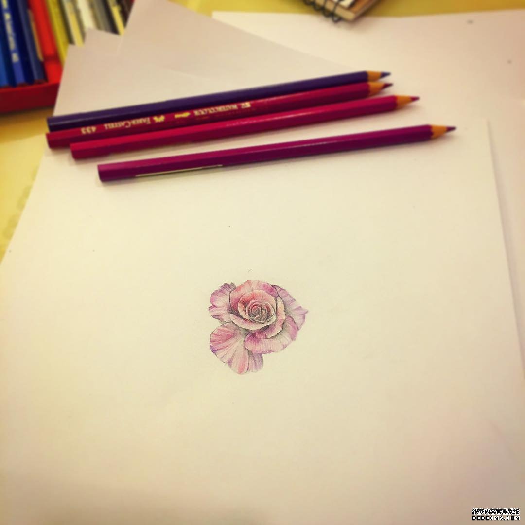 色彩花纹身手稿