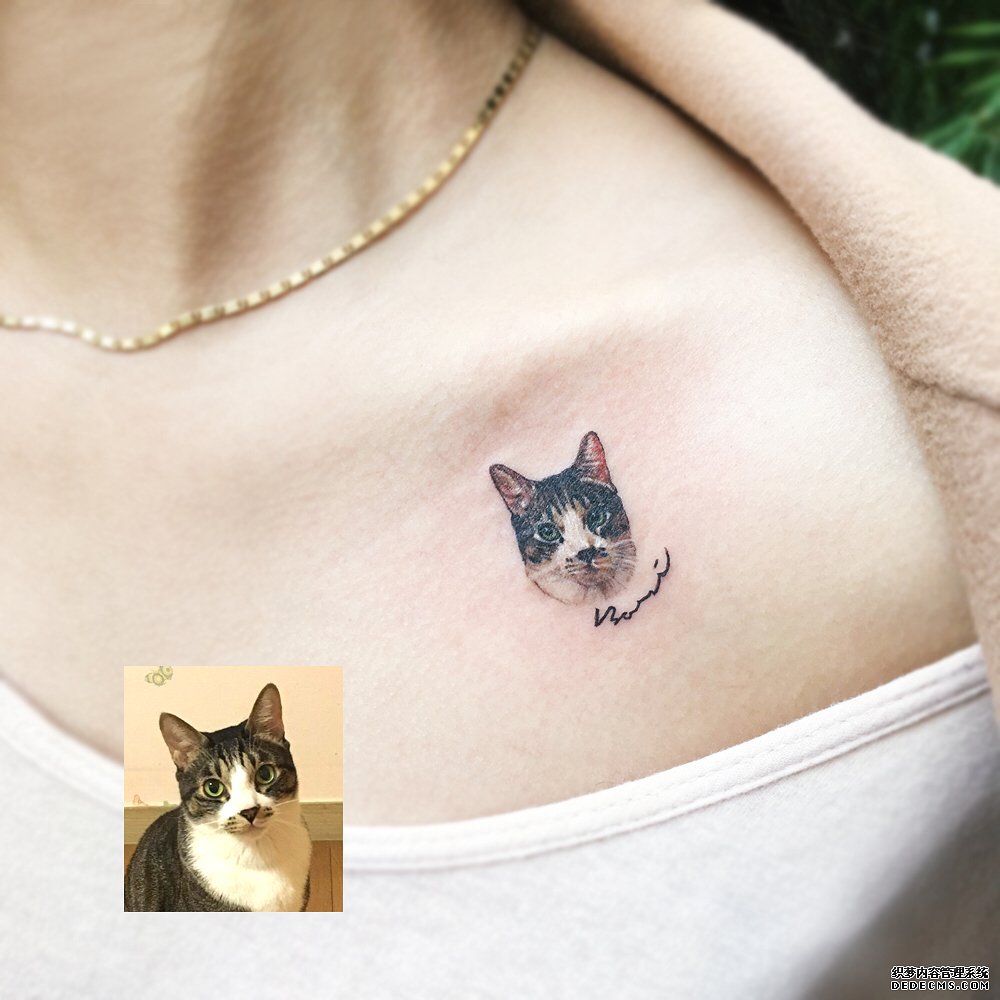 锁骨小猫纹身图案