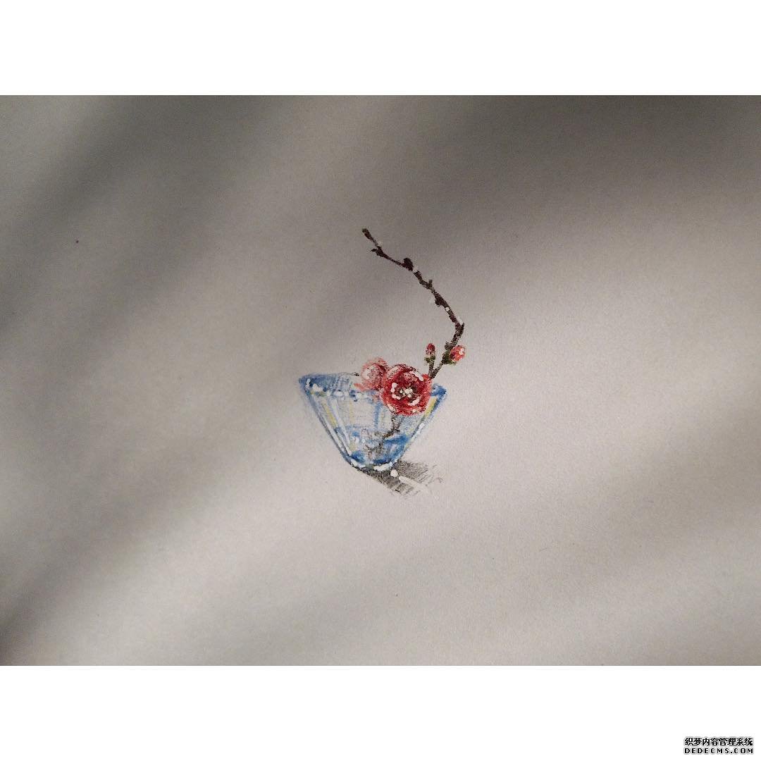 简约色彩小花纹身手稿