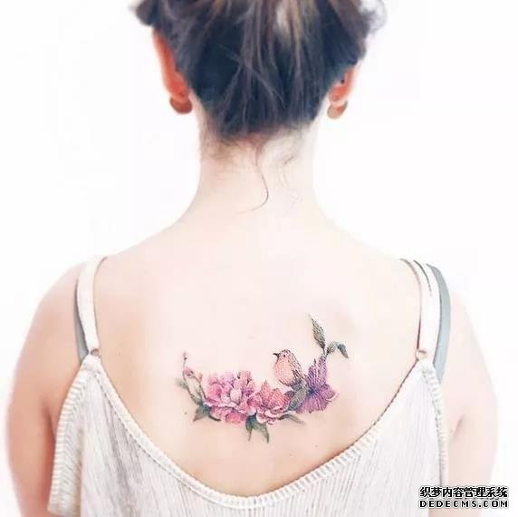 纹身素材第447期——色彩小图