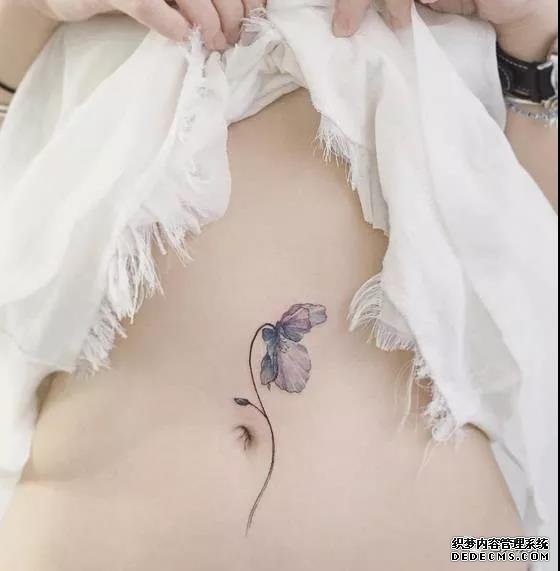 纹身素材第447期——色彩小图