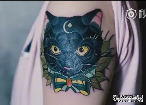 武汉老兵纹身黑猫遮盖纹身视频