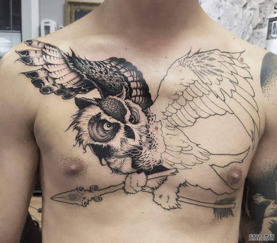 黑灰花胸猫头鹰纹身图案