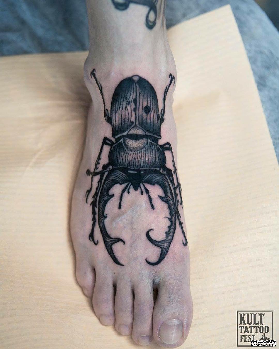 黑灰脚背虫子纹身图案