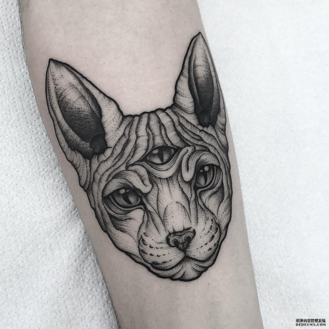 欧美猫小臂纹身图案