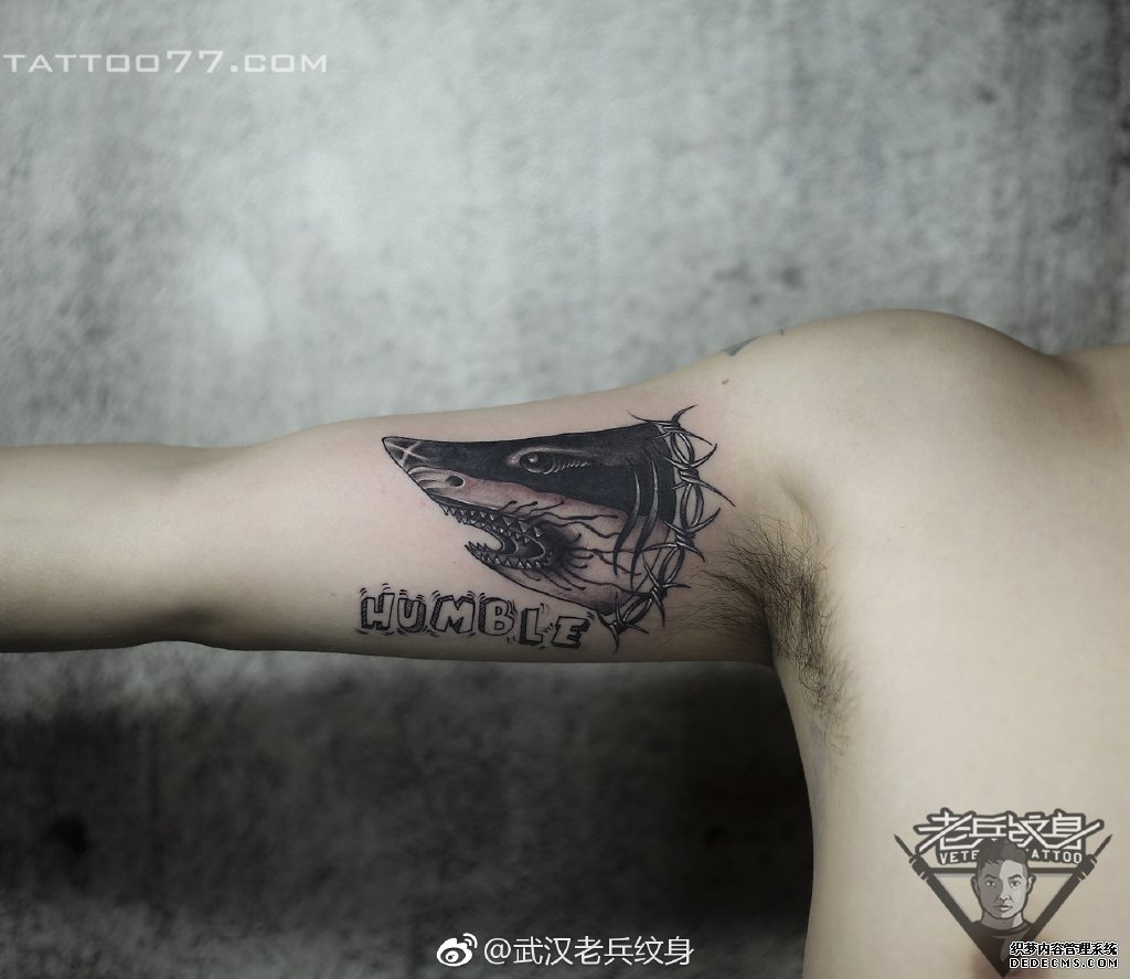 手臂黑灰鲨鱼纹身作品