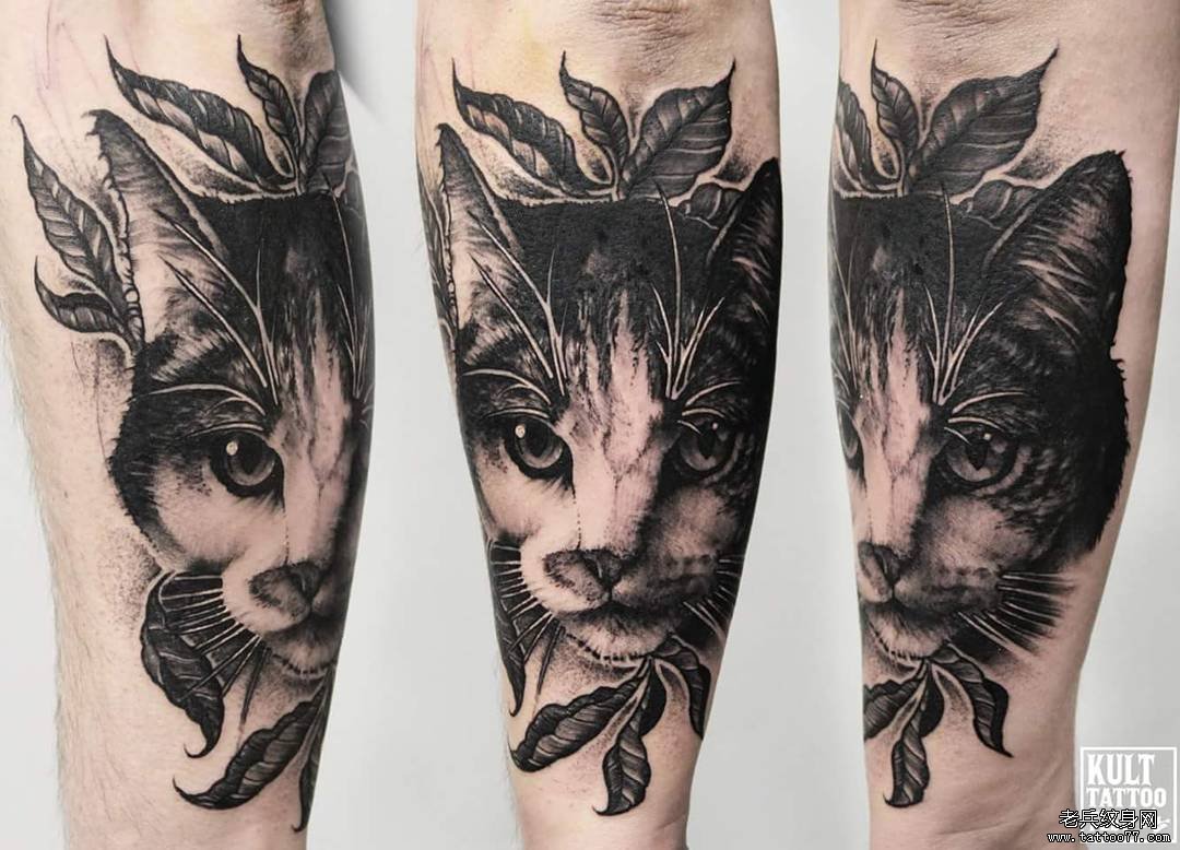 黑灰小臂猫纹身图案