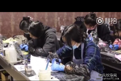学员努力练习视频