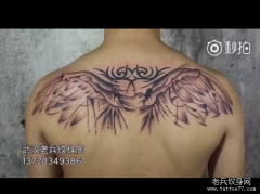 后背翅膀纹身视频