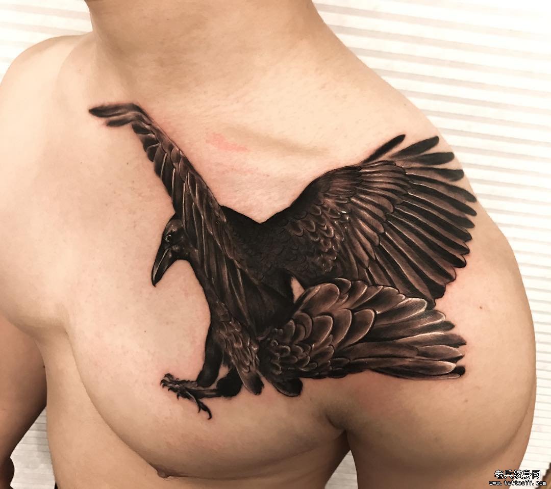 胸部乌鸦纹身图案