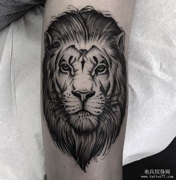 手臂黑灰狮子纹身图案
