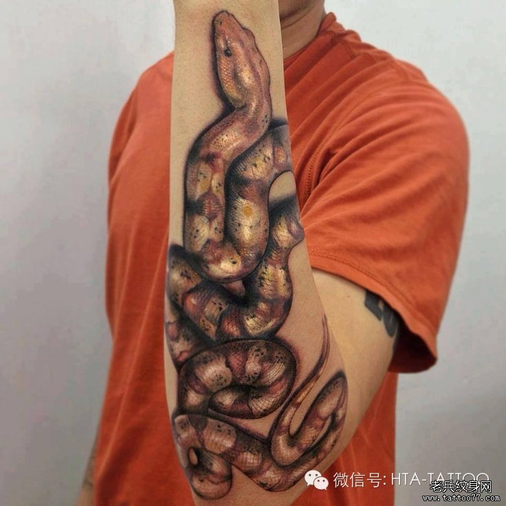 小臂色彩蛇纹身图案
