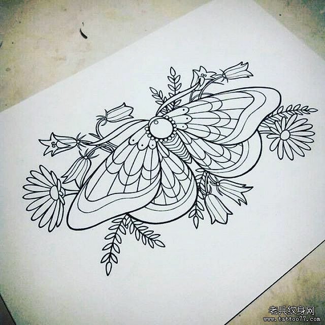 蝴蝶花朵线稿