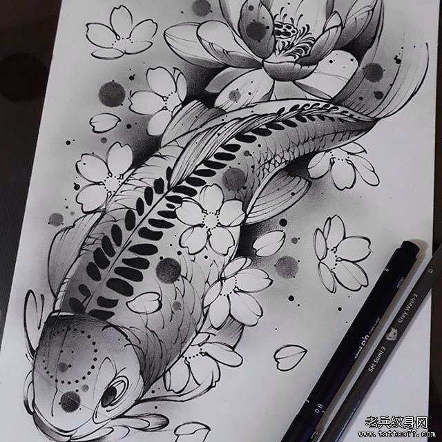 鲤鱼樱花莲花纹身手稿