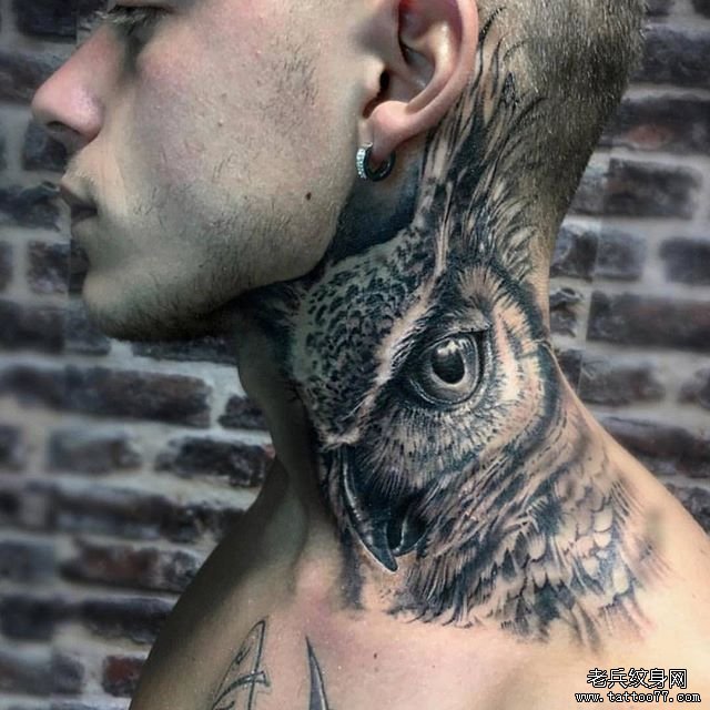 脖子写实猫头鹰纹身图案