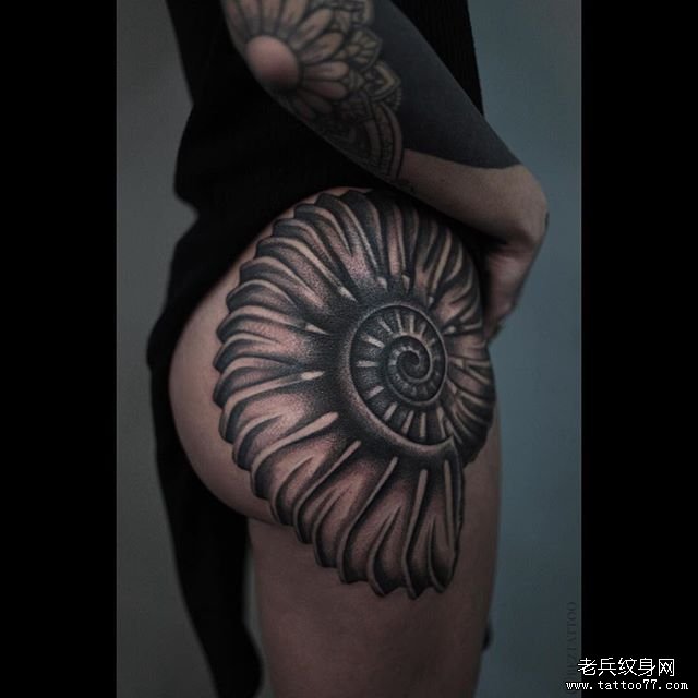 臀部海螺写实纹身图案