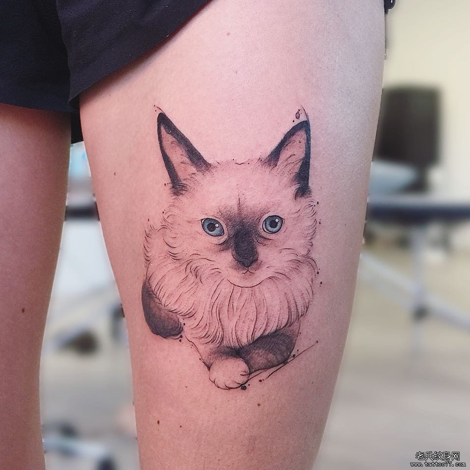 大腿猫咪纹身