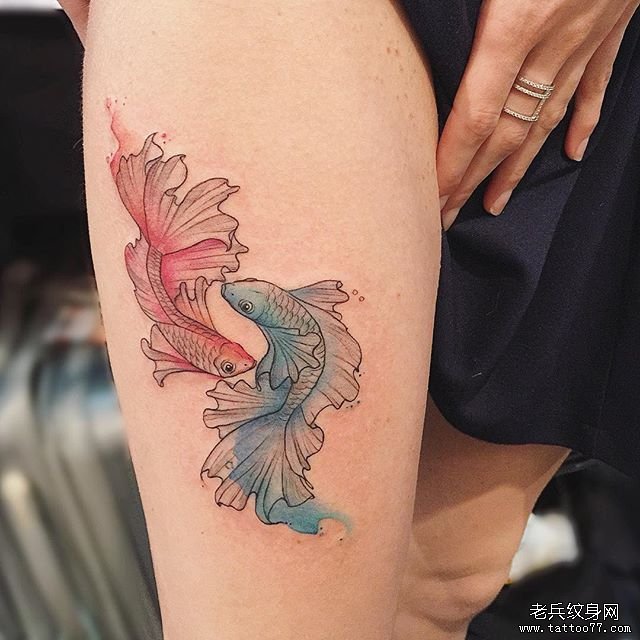 大腿色彩金鱼纹身