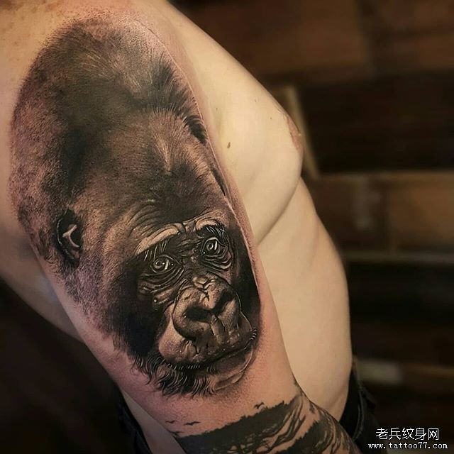 大臂写实猩猩纹身图案