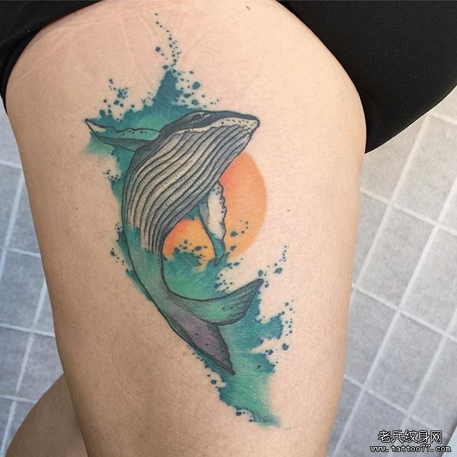 色彩鲸鱼纹身