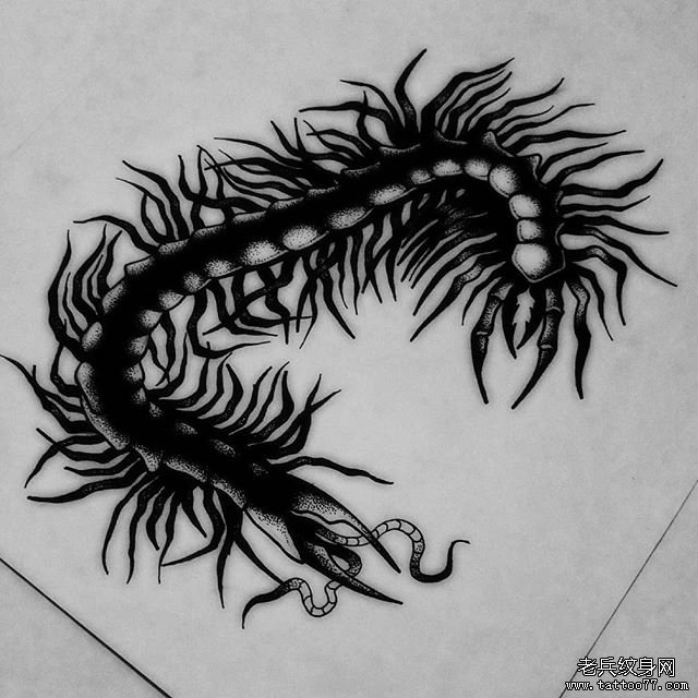 黑灰蜈蚣纹身图案