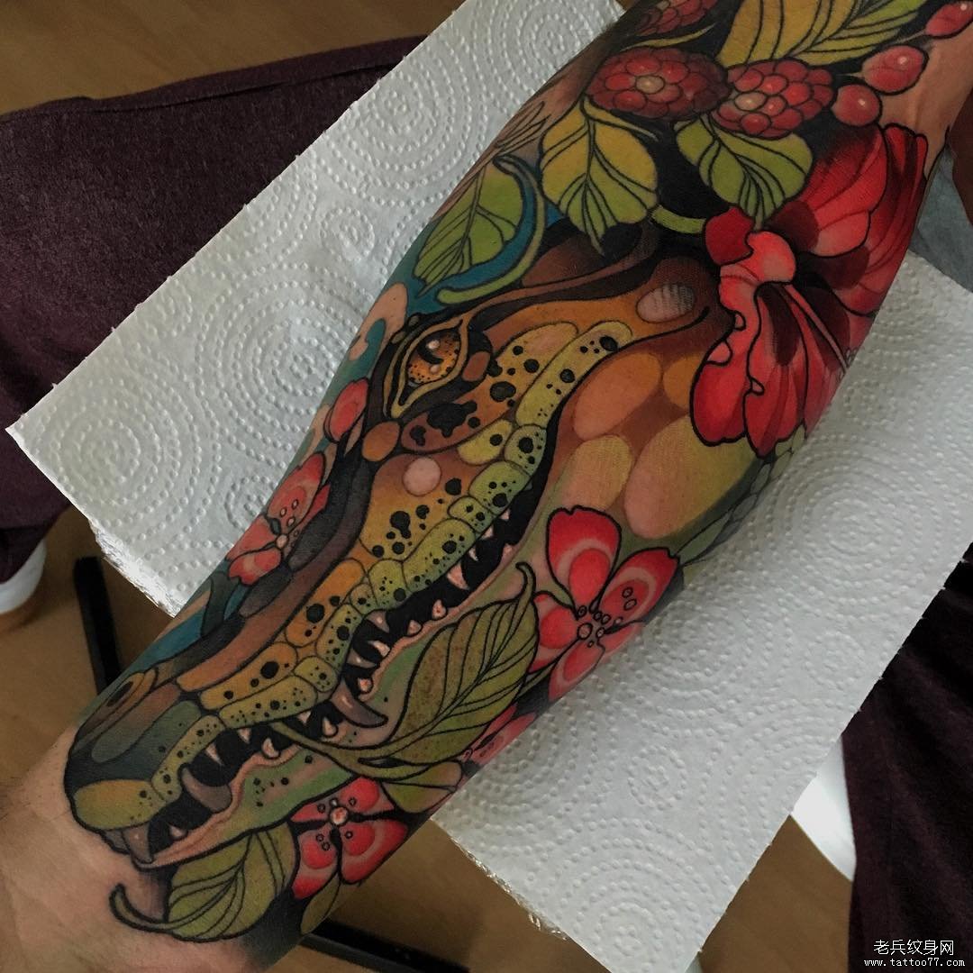手臂色彩鳄鱼纹身