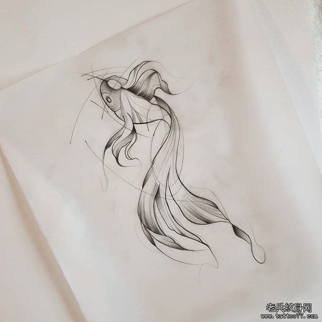  速写风格金鱼纹身手稿