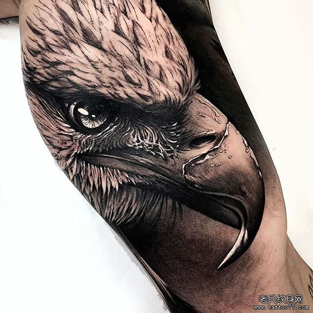 黑灰写实鹰纹身图案