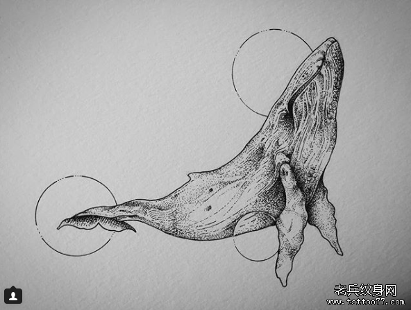 鲸鱼纹身手稿