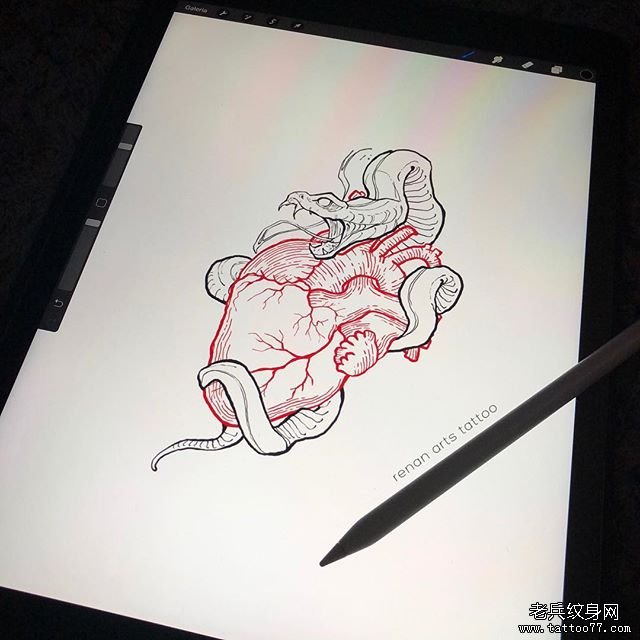 心脏蛇纹身手稿