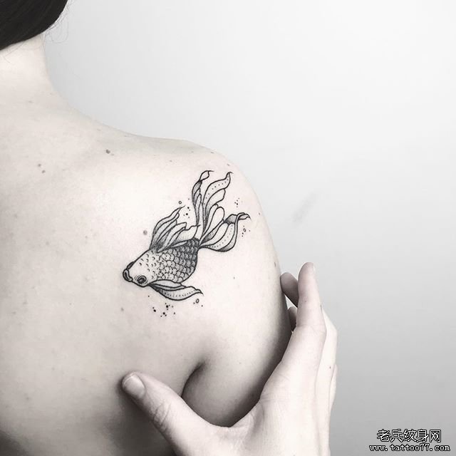 黑灰金鱼肩部tattoo图案