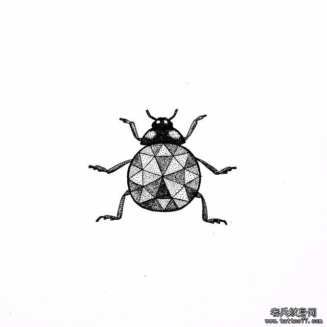 点刺几何昆虫纹身手稿