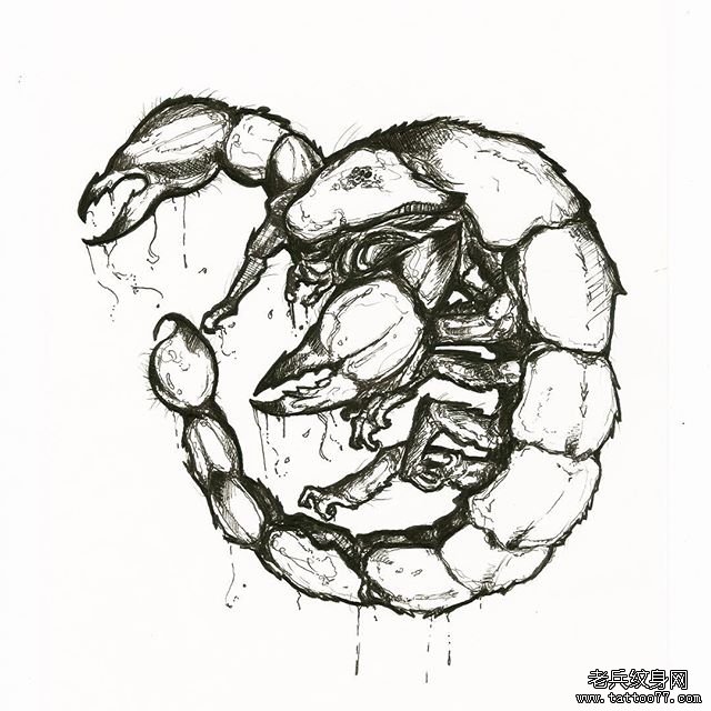 个性蝎子纹身手稿